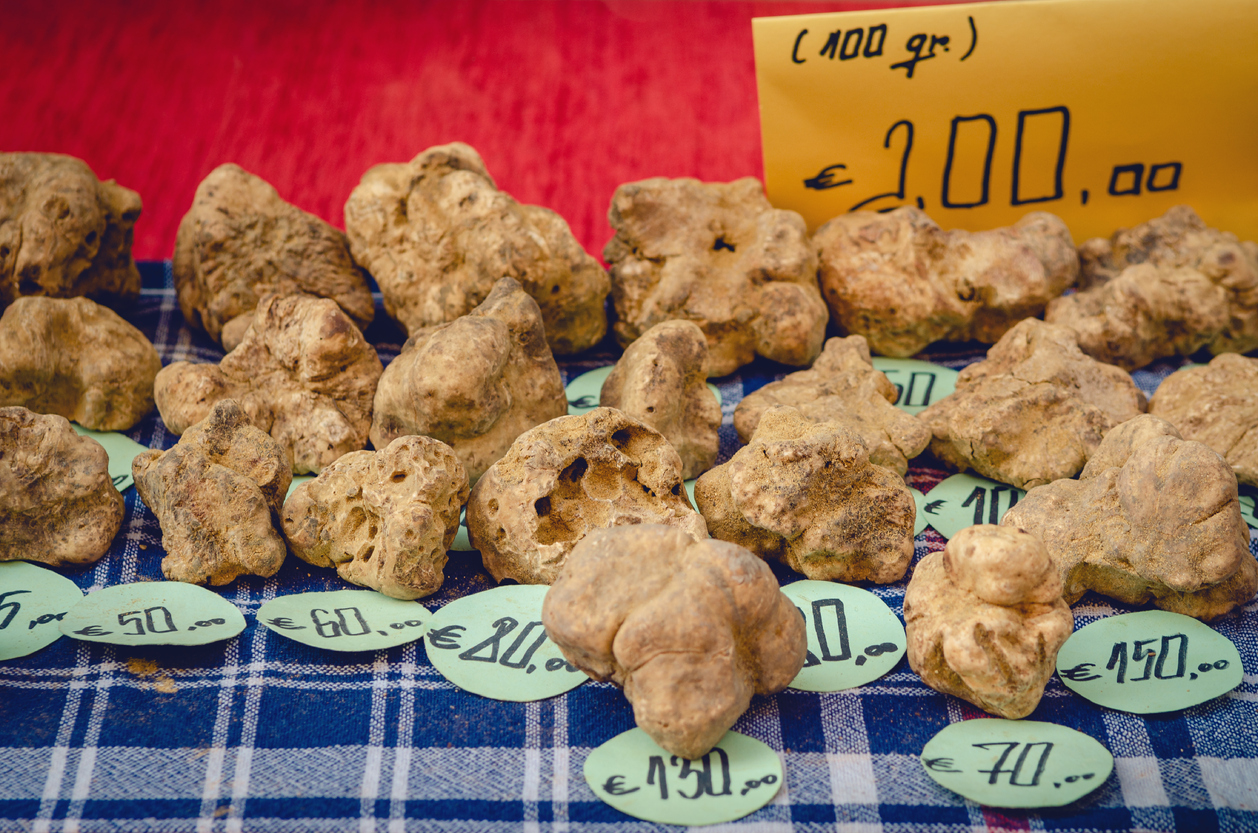Alba white truffles on a market stall with price tags